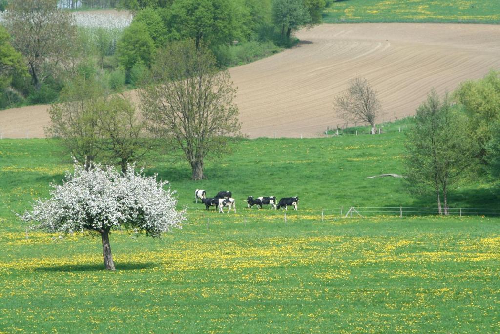 Hoeve De Linde Villa Валс Стая снимка