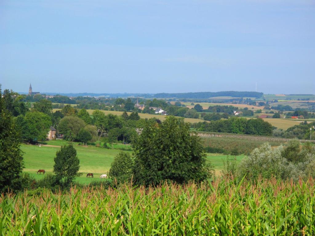 Hoeve De Linde Villa Валс Стая снимка